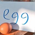 Egg